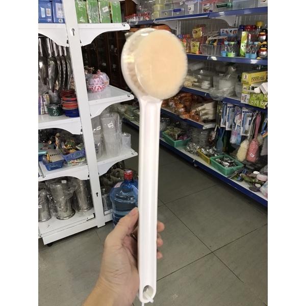 Cây chà lưng Nhật