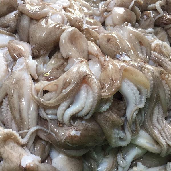 Bạch tuộc - 1kg