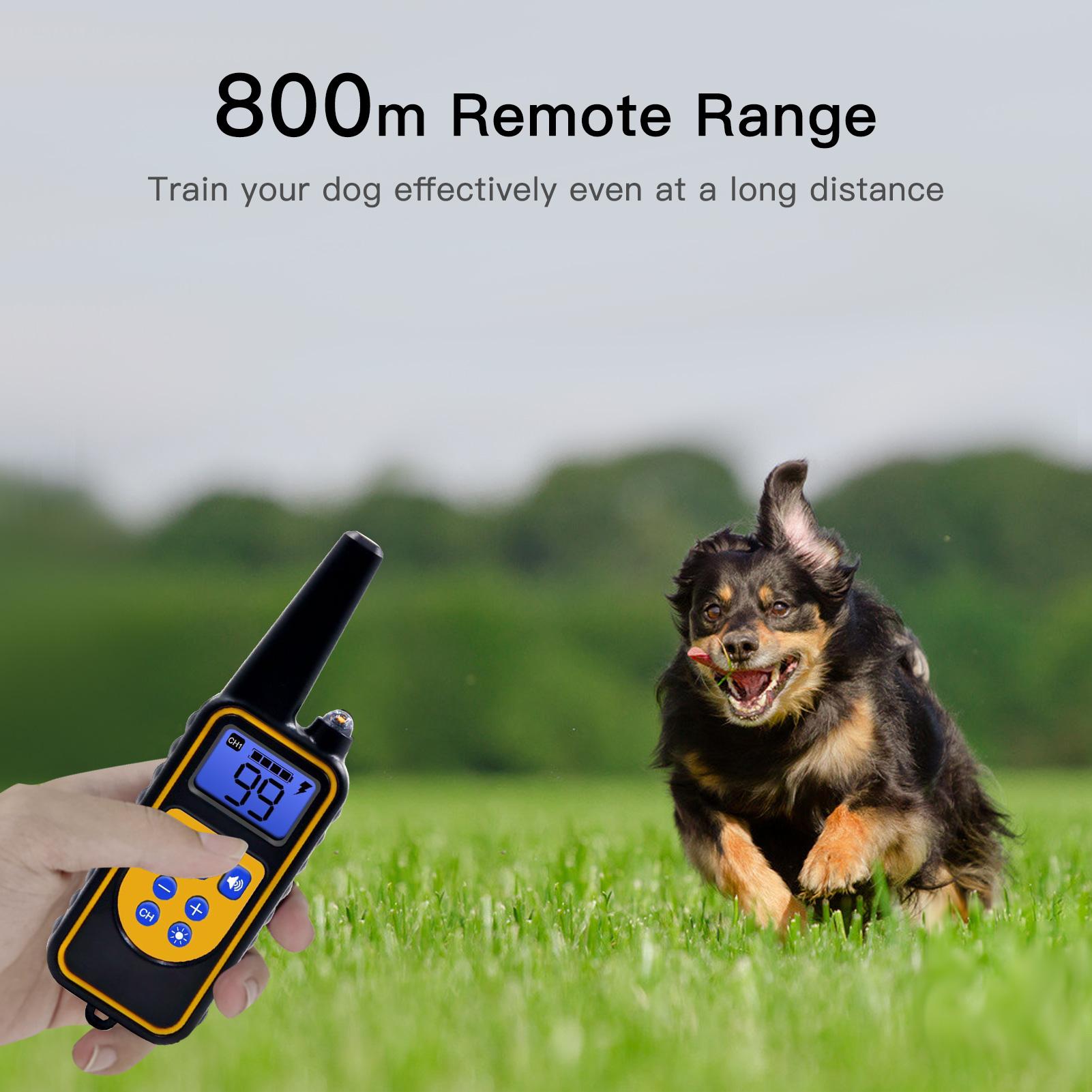 Vòng cổ huấn luyện chó với 4 chế độ huấn luyện,Có sẵn rung động cấp độ 1-99 và sốc điện,Tích hợp pin sạc và đi kèm cáp USB,ật liệu ABS bền, tuổi thọ cao.