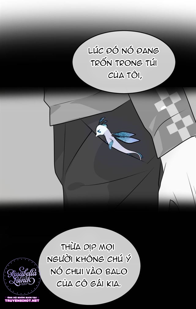 bộ váy của nàng tiên cá chapter 20 28