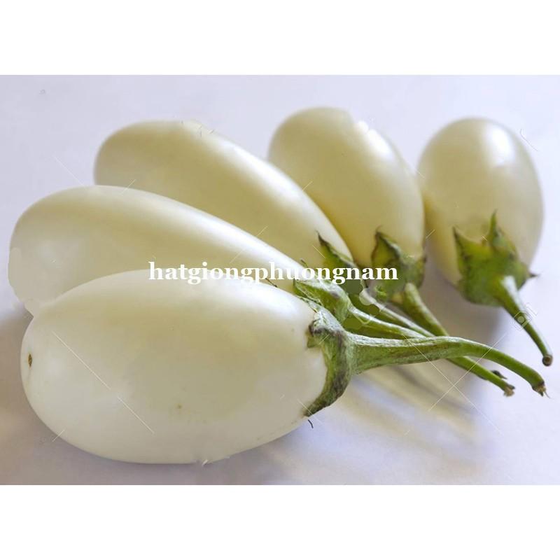 40H - HẠT GIỐNG CÀ PHÁO TRỨNG TRẮNG