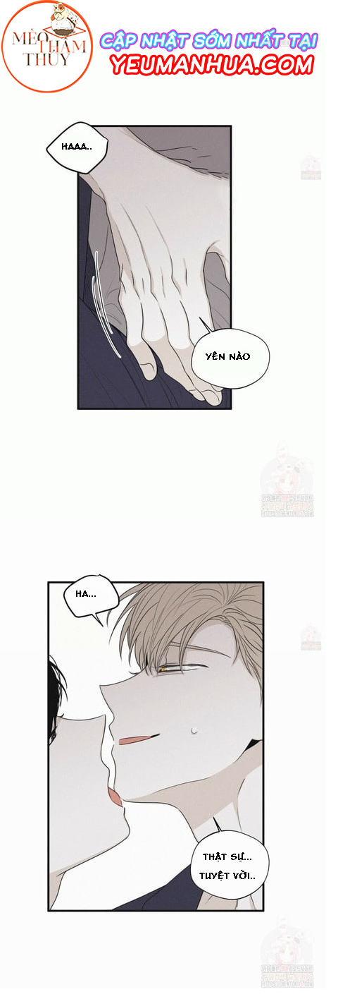 chiếu tướng chapter 19 11