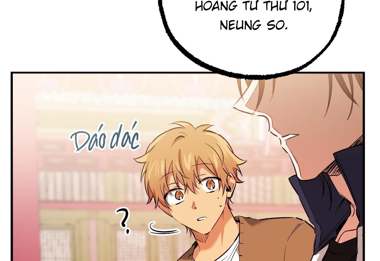 những chú thỏ của hapypy chapter 62 158