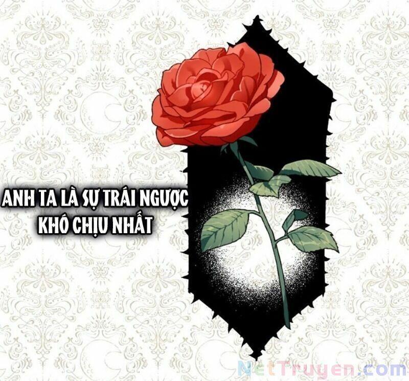 xin ngài đừng ăn tôi chapter 6 12