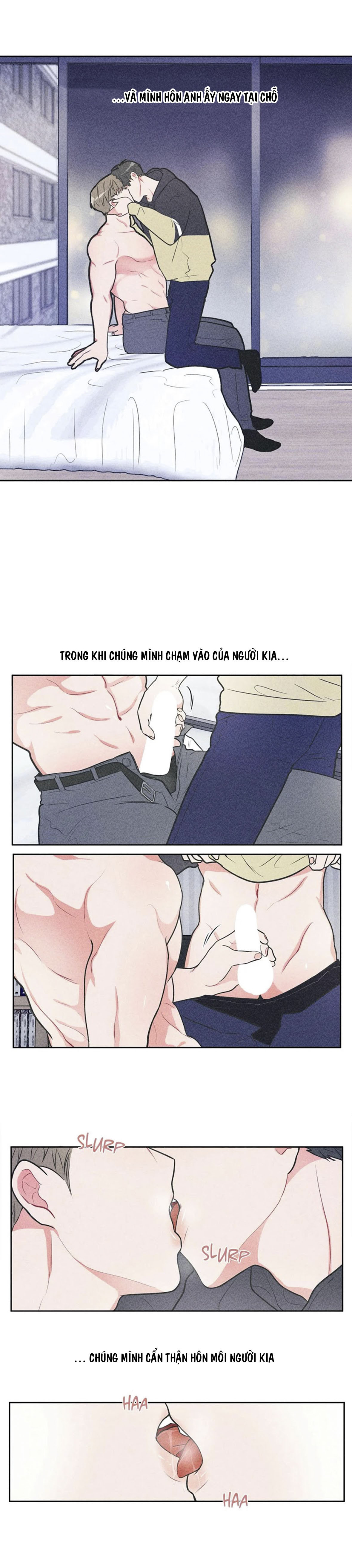 anti p.t chapter 13 4