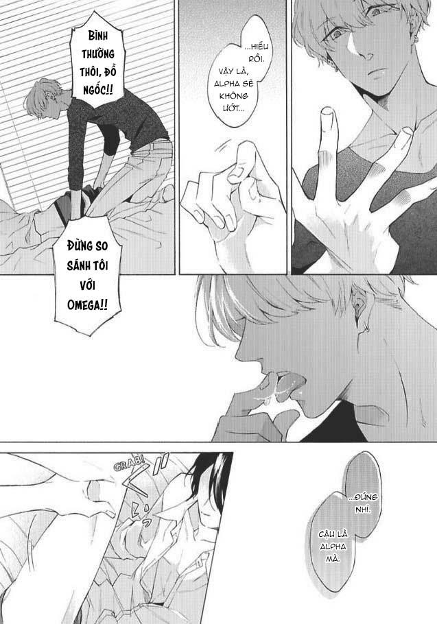 bạn đời giả dối chapter 1 23