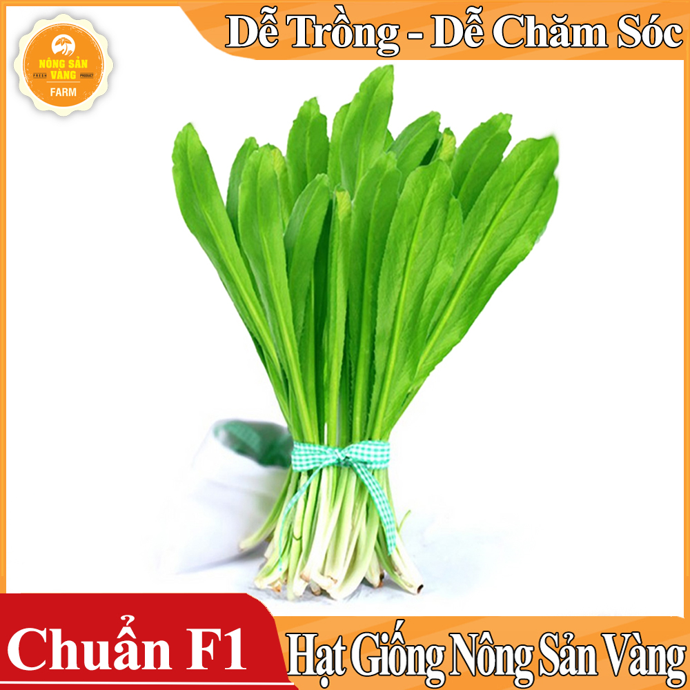 Hạt giống Rau Mùi Tàu , Ngò Gai ( Gói 5 Gram ) - Nông Sản Vàng
