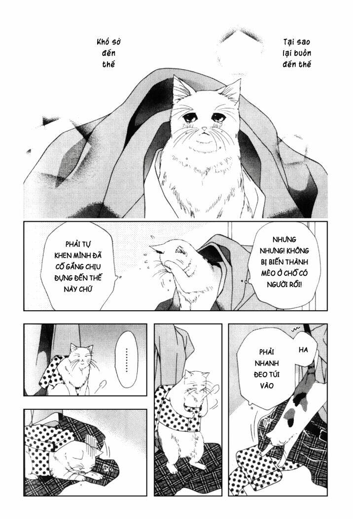 neko neko honey chapter 2 19