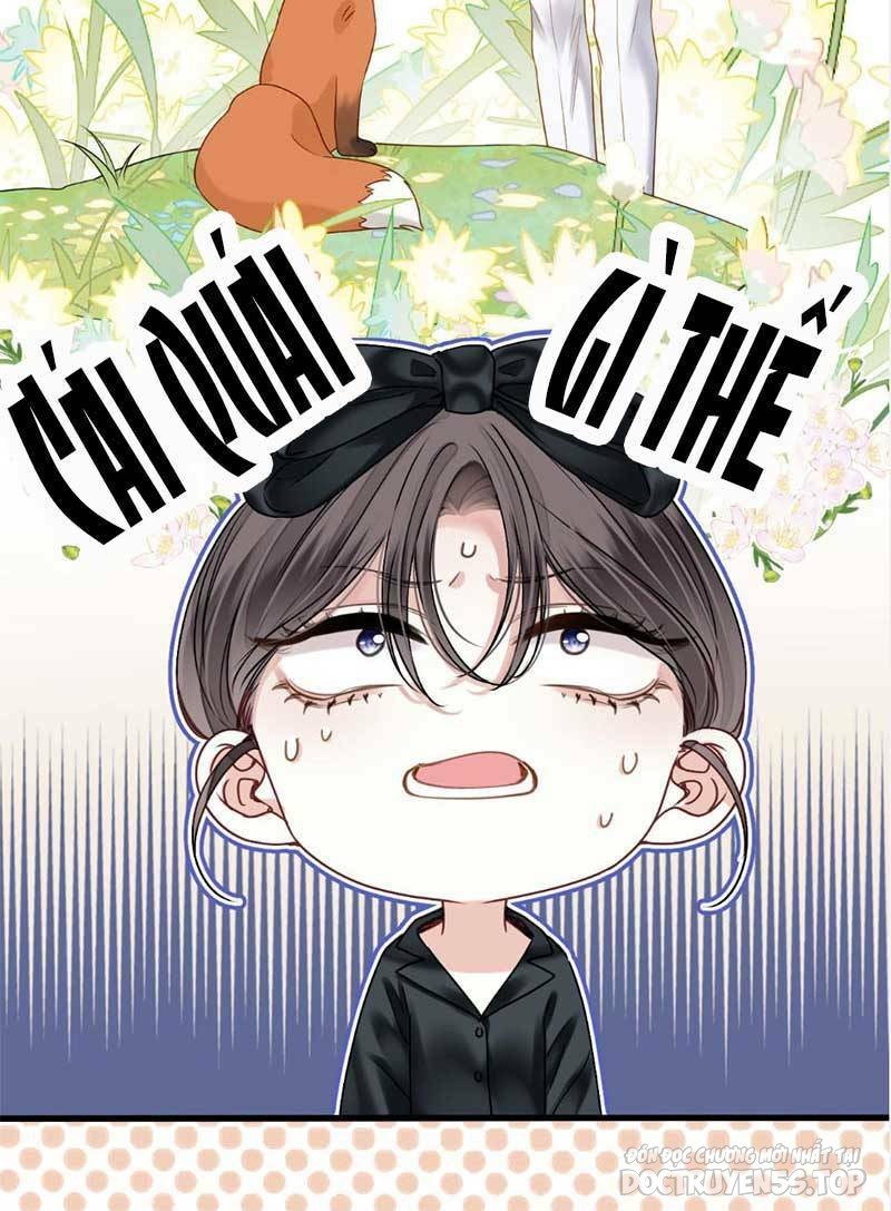 mỗi ngày đều thích anh chapter 11 19