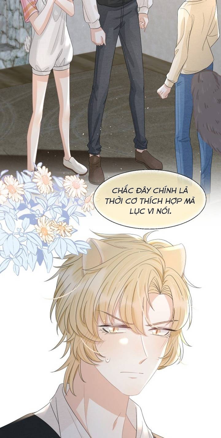 ăn một bé thỏ chapter 84 19