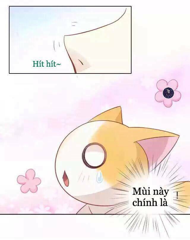 dưới móng vuốt mèo chapter 12 23