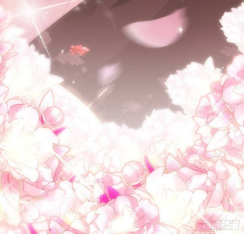 quy tắc yêu đương của hải vương chapter 3 28