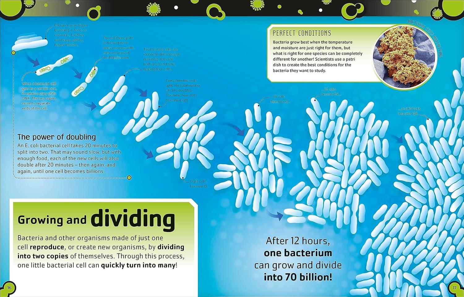 Sách ngoại văn: The Bacteria Book (New Edition)