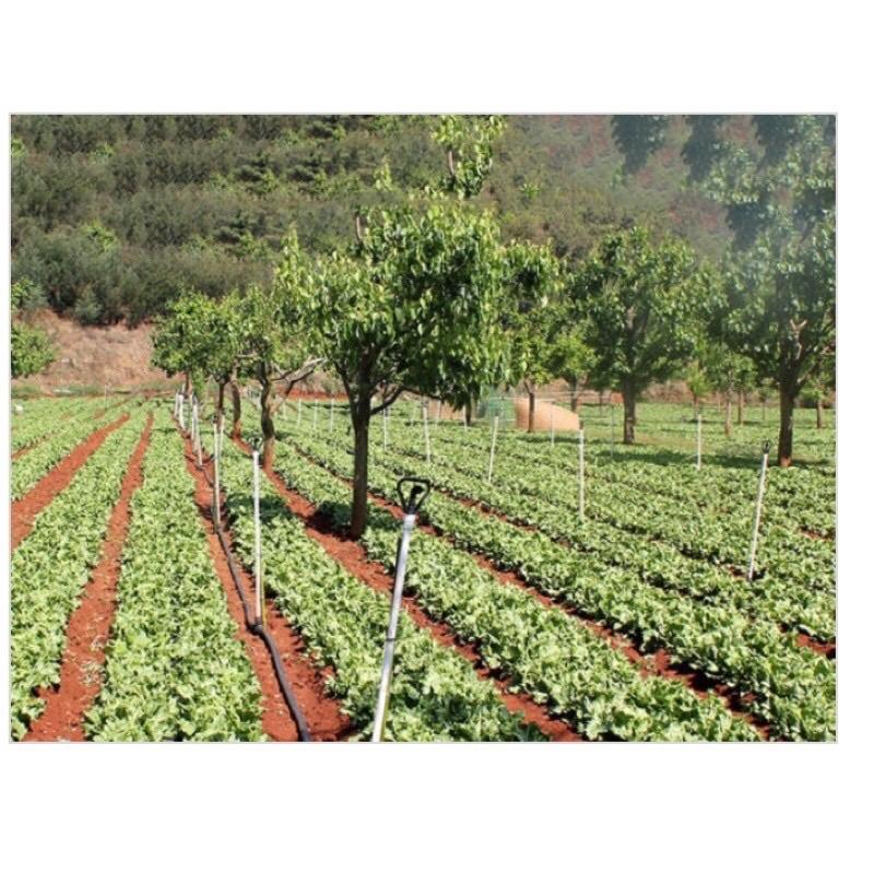 Béc phun nước, béc phun sương tự xoay 360 độ