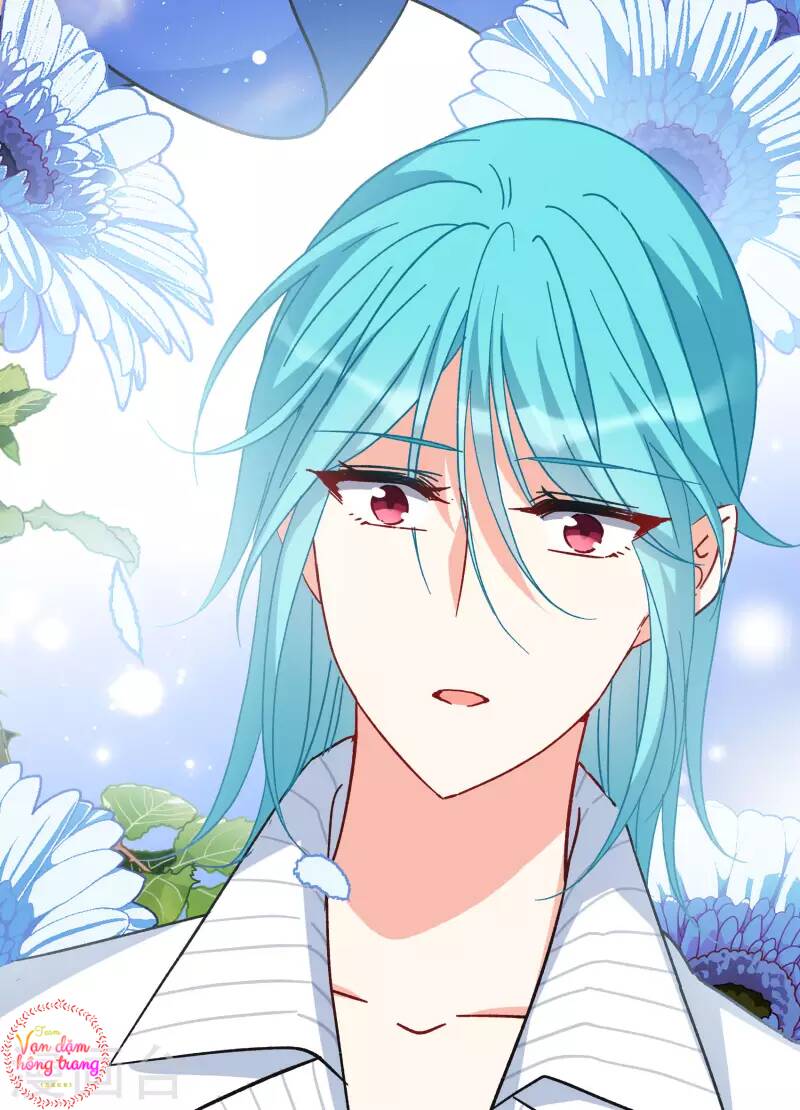 cô ấy đến rồi, xin nằm xuống! chapter 253 31