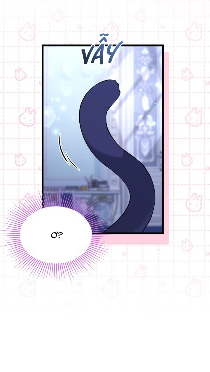 mối liên kết giữa báo đen và bé thỏ chapter 54 37