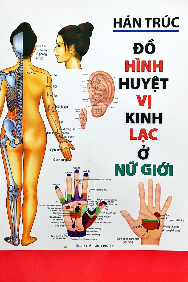 Đồ Hình Huyệt Vị Kinh Lạc