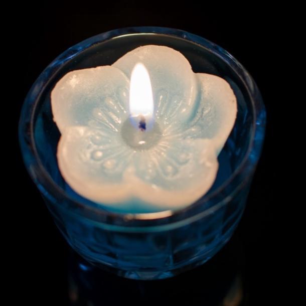 Hộp nến 6 ly nhiều màu (9 giờ) - nến ly hoa hồng hoa cúc - cốc nến trang trí cao cấp candle shop