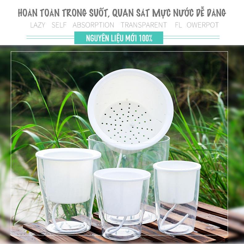 Chậu cây để bàn Oliz W0 Clear. Chậu trồng cây có chức năng tự tưới nước cho cây. Trang trí văn phòng, bàn làm việc