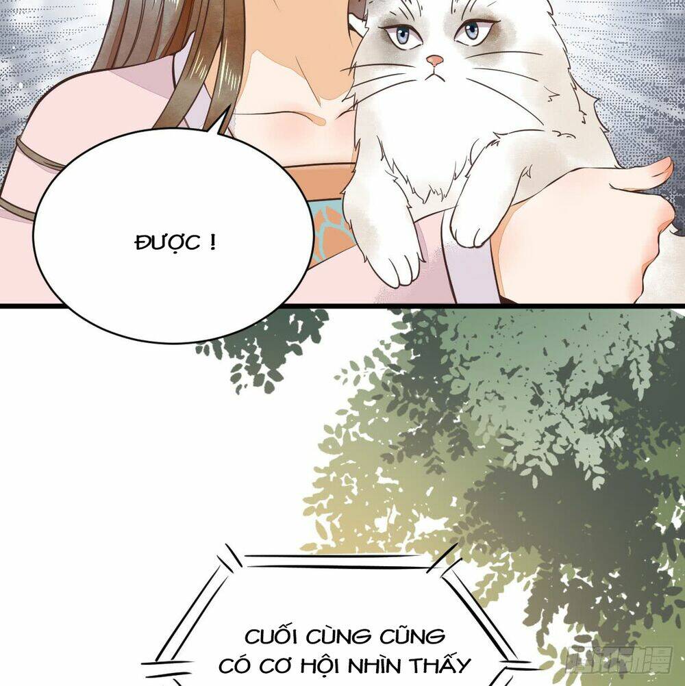 sát thủ vương phi không dễ chọc chapter 5.5 18