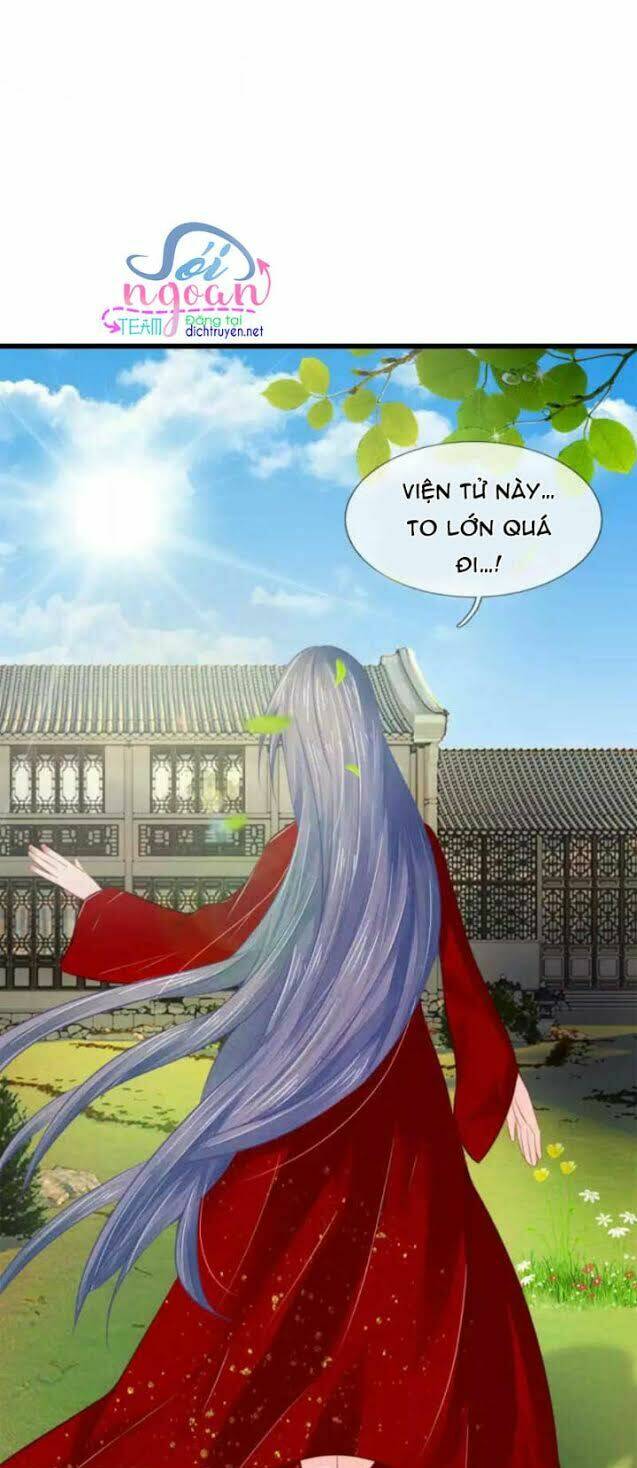 y phi quyền khuynh thiên hạ chapter 36 4