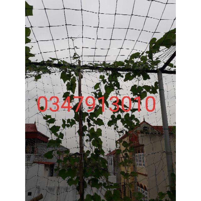 Lưới giàn cây leo rộng 3m dài 5m- Lưới dệt máy