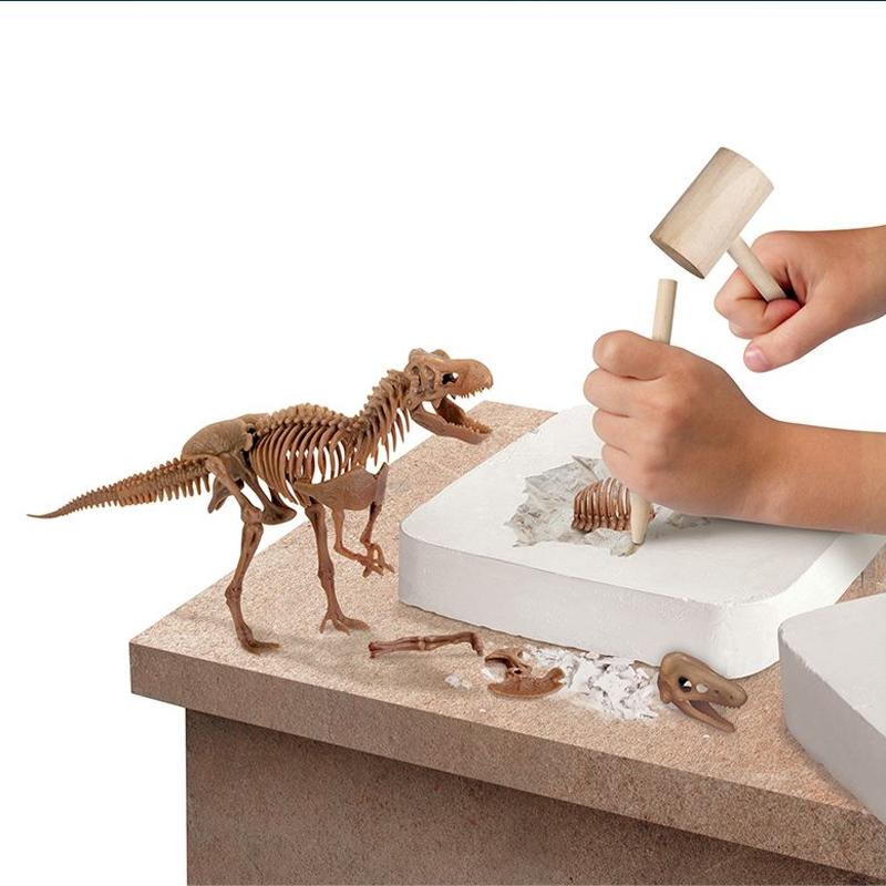 Đồ Chơi Giáo Dục STEM 1423004871 - Dinosaur Fossil Dig - Bộ Khảo Cổ Truy Tìm Xương Khủng Long Tyrannosaurus Rex