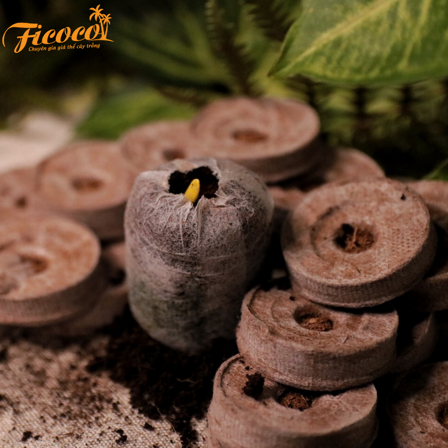 VIÊN NÉN XƠ DỪA ƯƠM HẠT ECO GROW