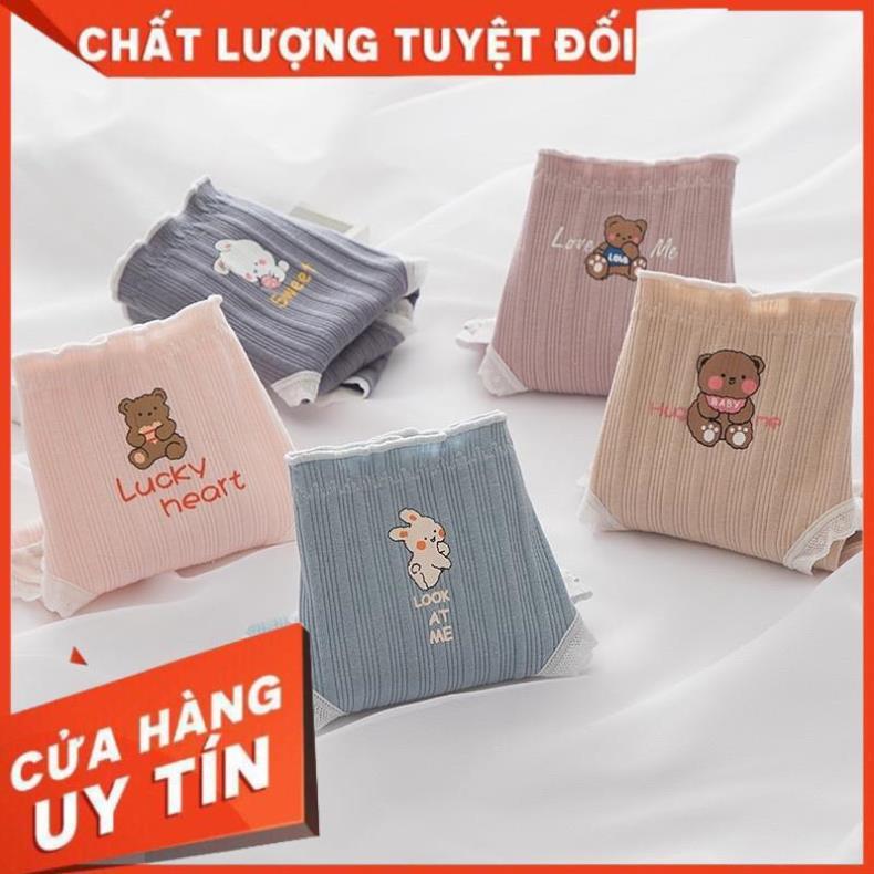 Quần Lót Nữ ️ Quần Cotton Nữ Phối Viền Họa Tiết Hình Thỏ và Gấu 485