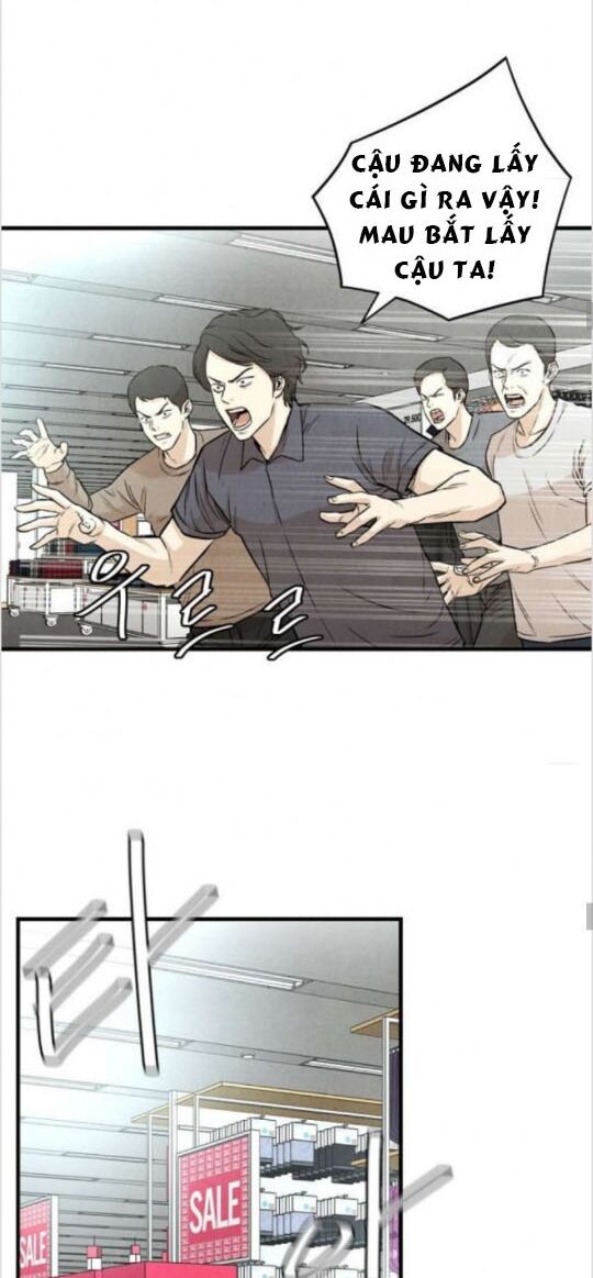 return survival chapter 12 5