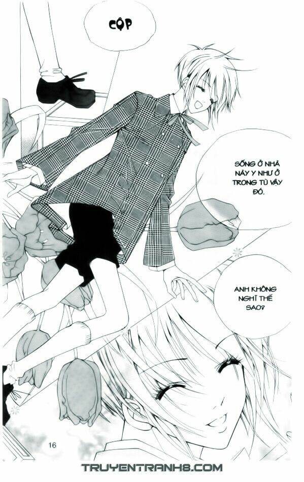 ngọc trong đá-ace chapter 1 17