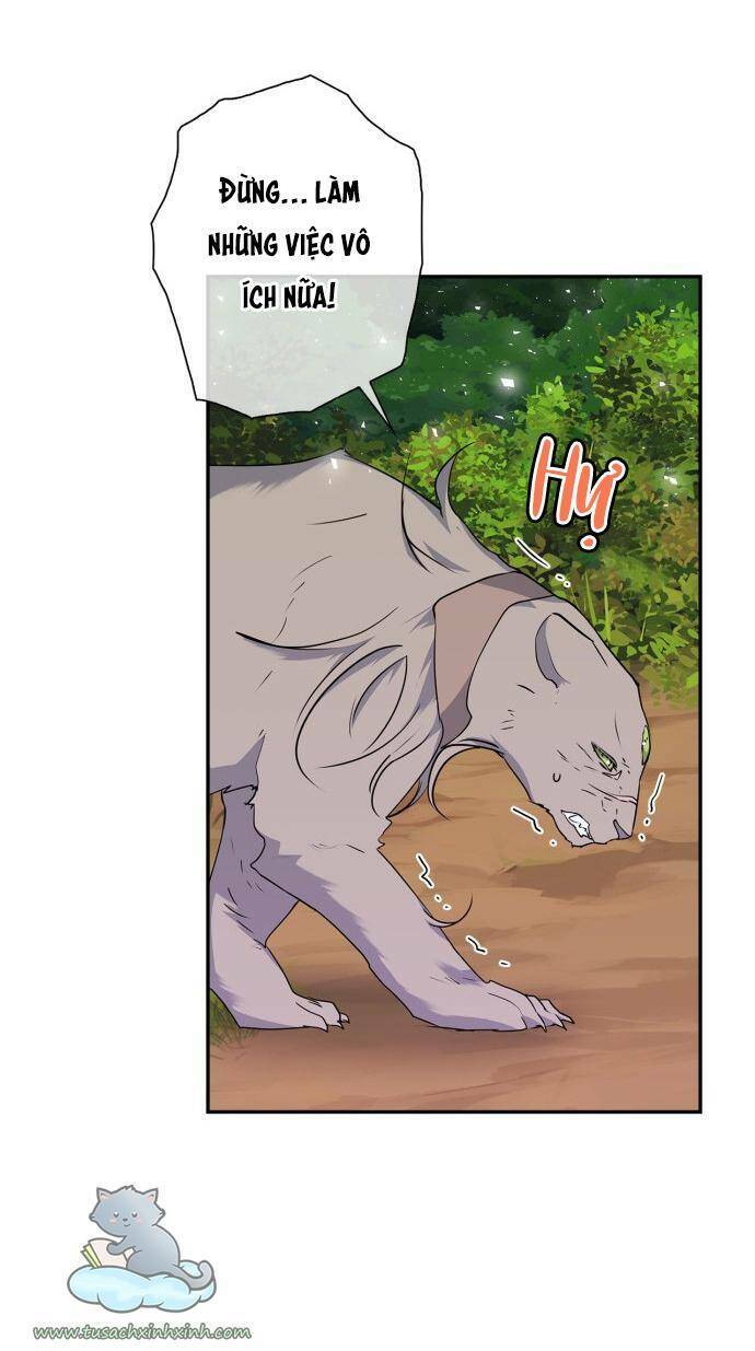 tôi đang nuôi dưỡng một con quái thú chapter 70 61