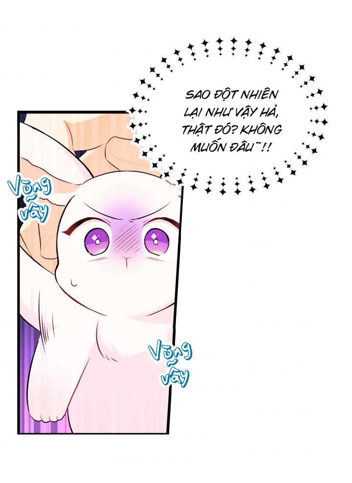 mối liên kết giữa báo đen và bé thỏ chapter 9 29
