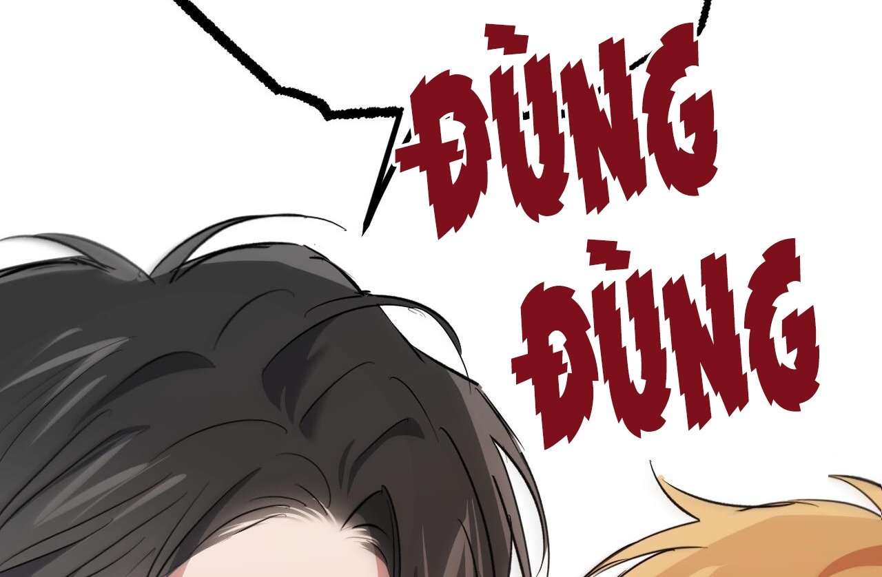 những chú thỏ của hapypy chapter 61 41