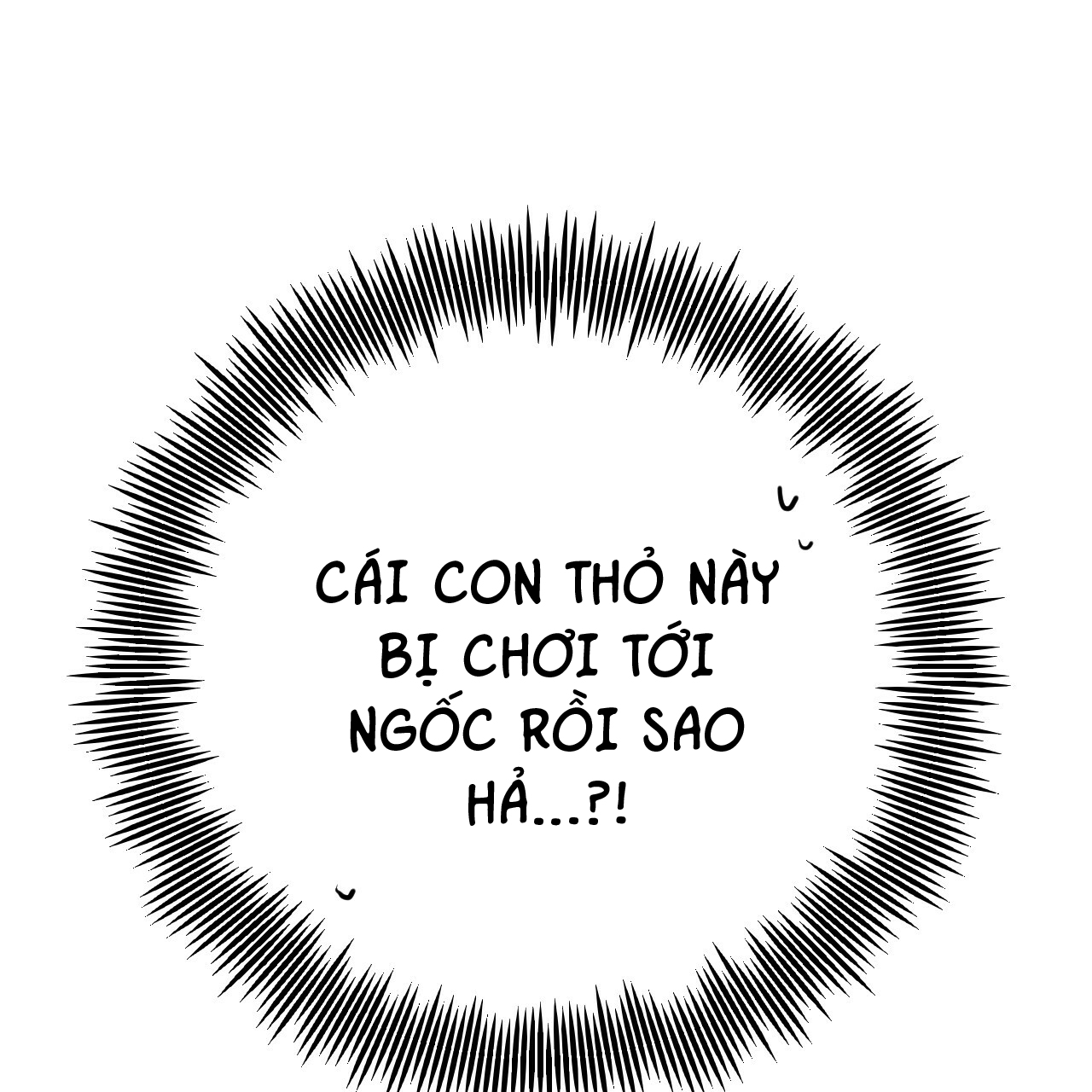 những chú thỏ của hapypy chapter 10 29