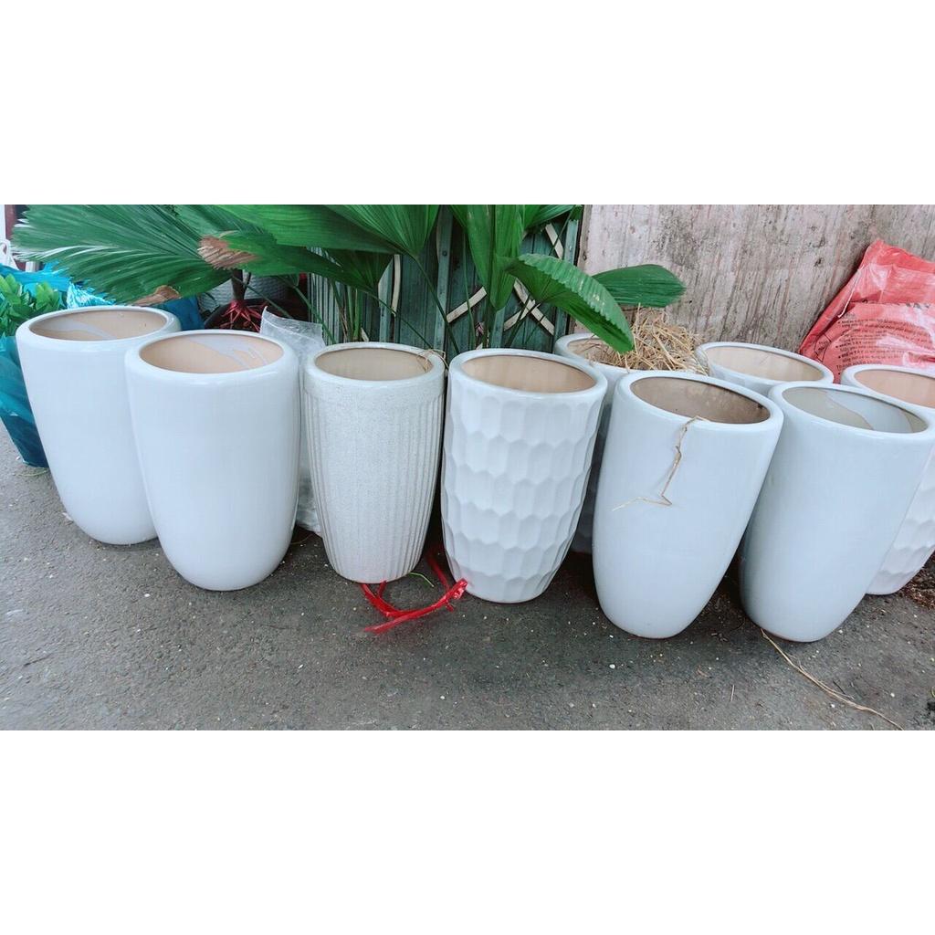 Chậu Trồng Cây