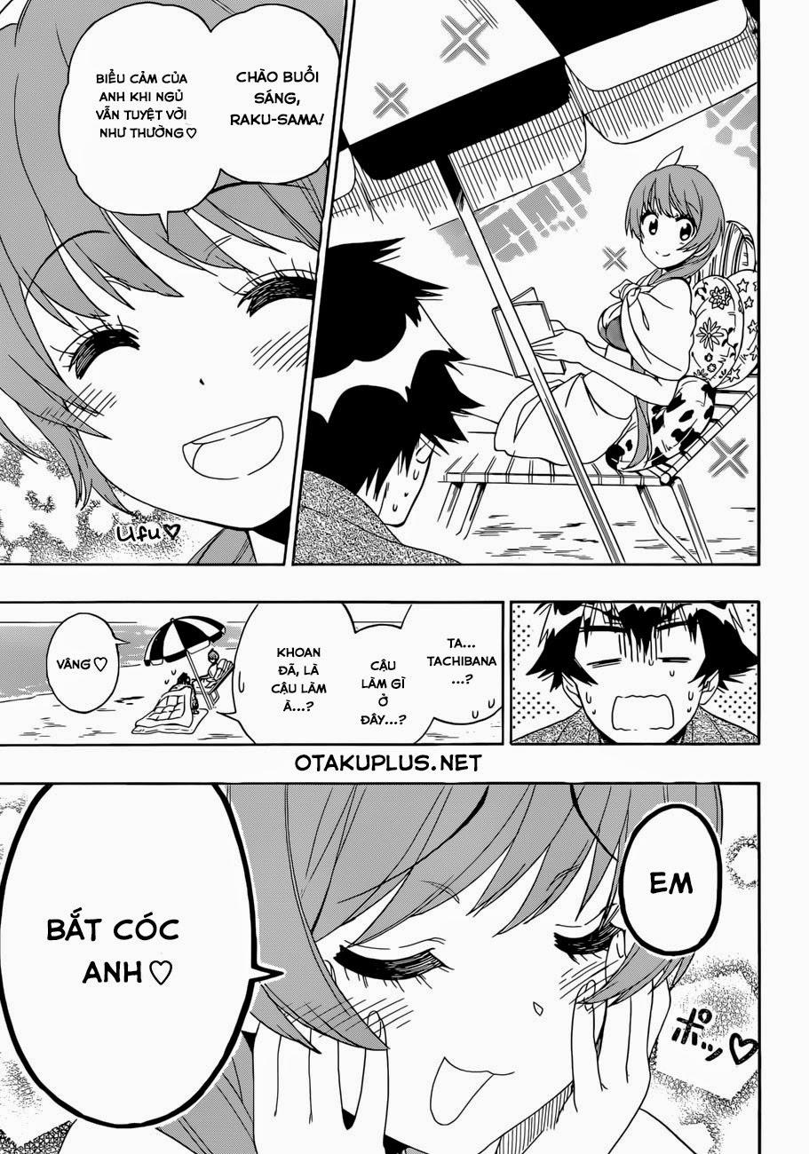 nisekoi - tình yêu giả tạo chapter 169 5