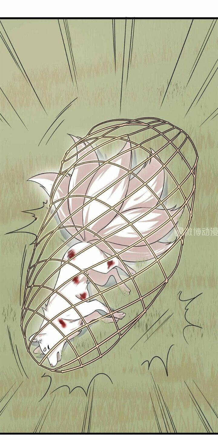 độc bộ thiên hạ: đặc công thần y chapter 242 12