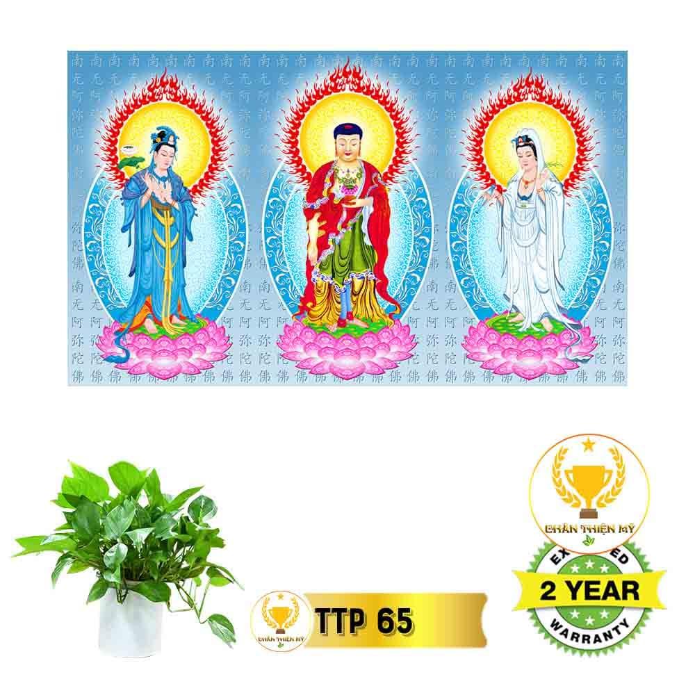 Tranh điện Tam Thế Phật_TTP7