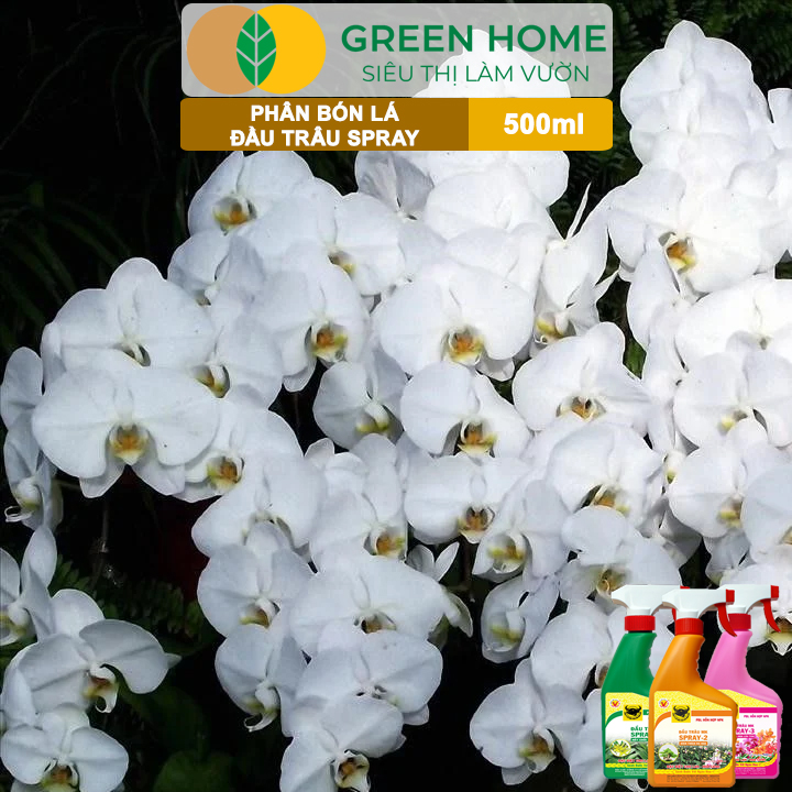 Bộ 3 Phân Bón Lá Đầu Trâu Spray 1, 2, 3 Greenhome, Bình Điền, Chai 500ml, Cao Cấp, Chuyên Cho Hoa Kiểng