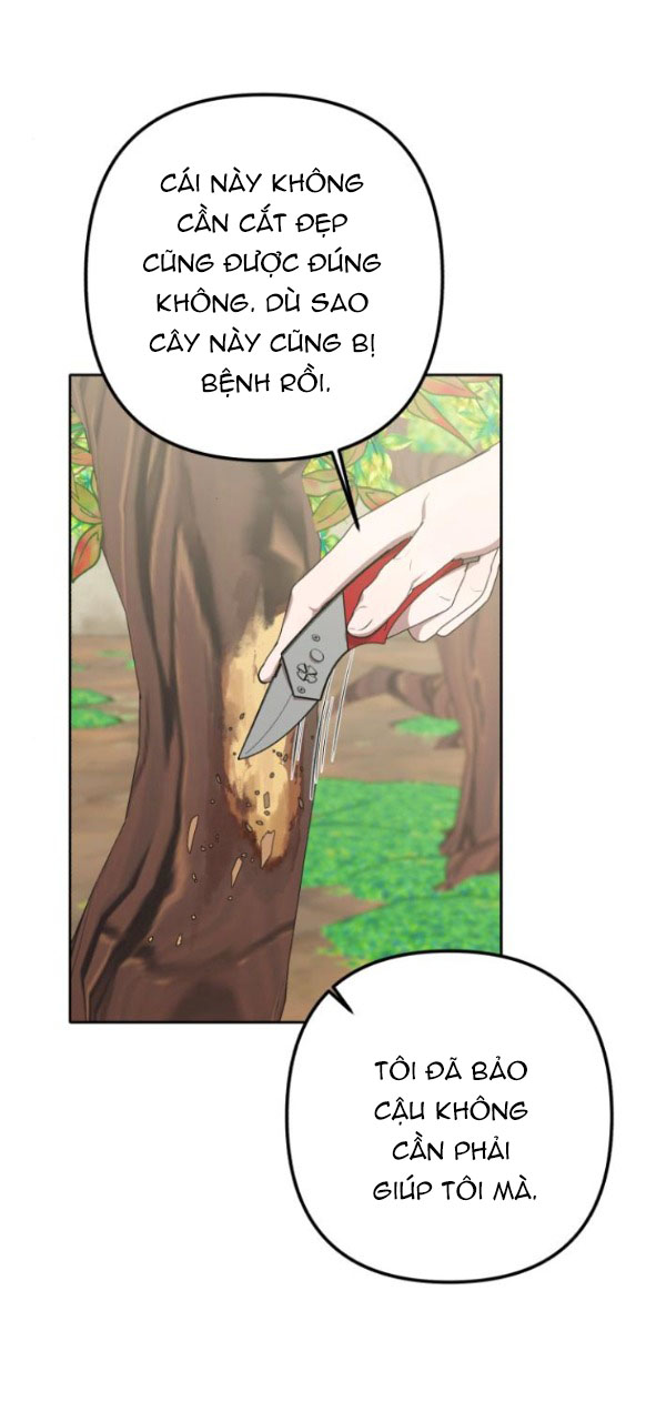 bóng râm mùa xuân chapter 3.1 1