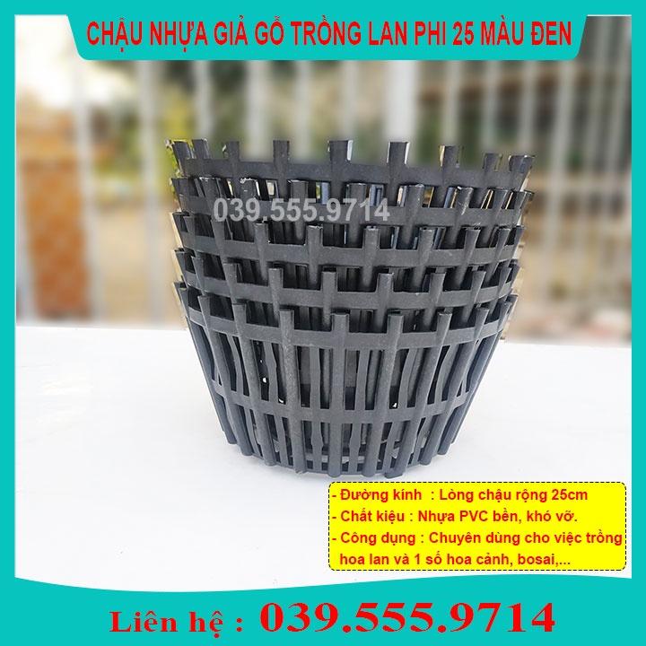 5 Chậu Nhựa Đen Trồng Lan Phi 25cm - Chậu Trồng Lan Có Lan Phụ