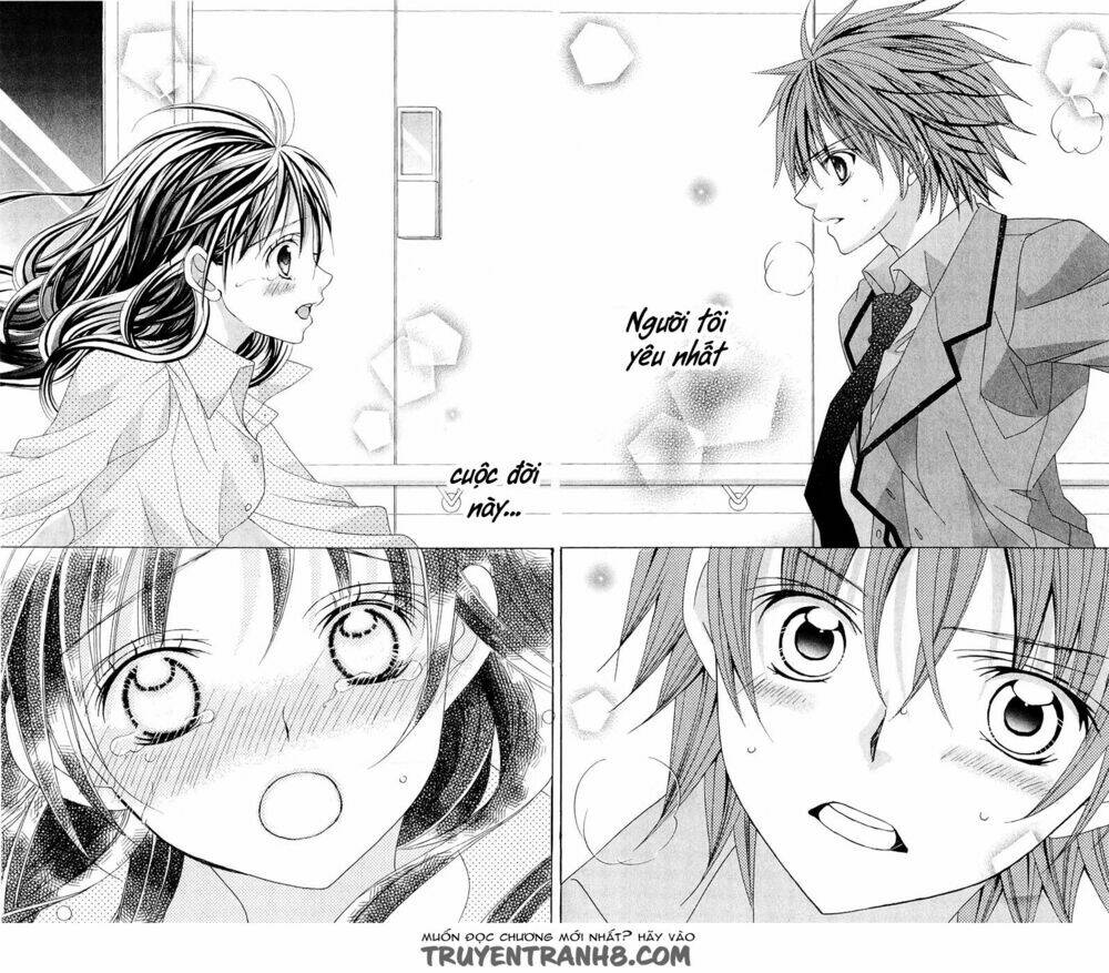 suki desu suzuki-kun!! chapter 59 14