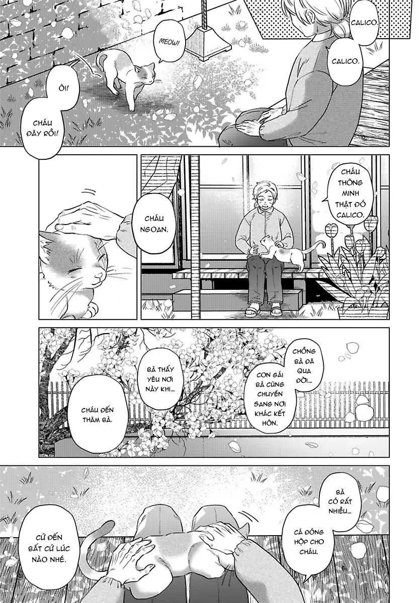 mofumofu bakashiai nikki chapter 3 12
