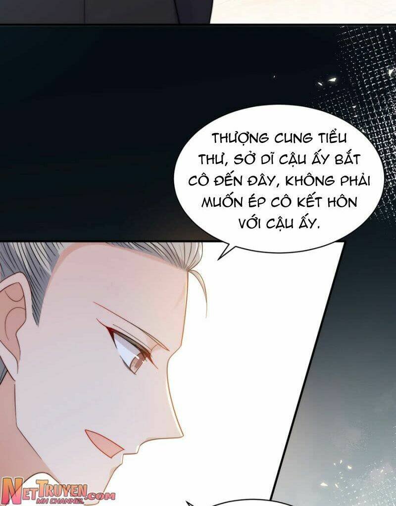 ma lạt thiên kim đẩu ác thiếu chapter 205 8