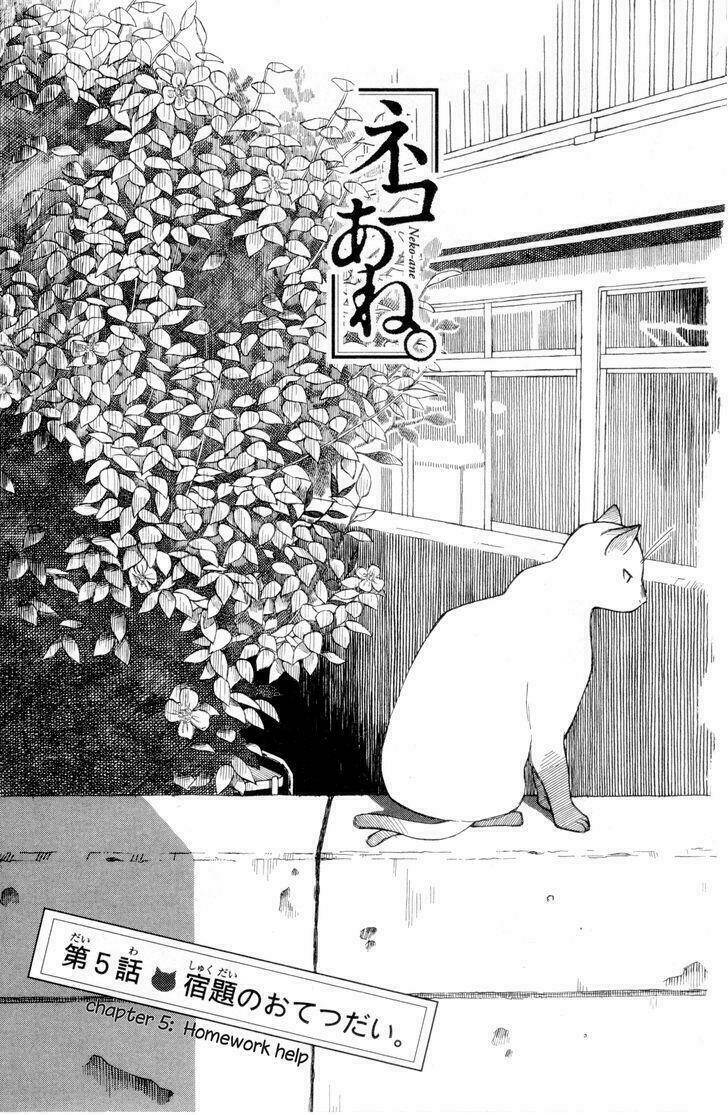 neko ane chapter 5 3
