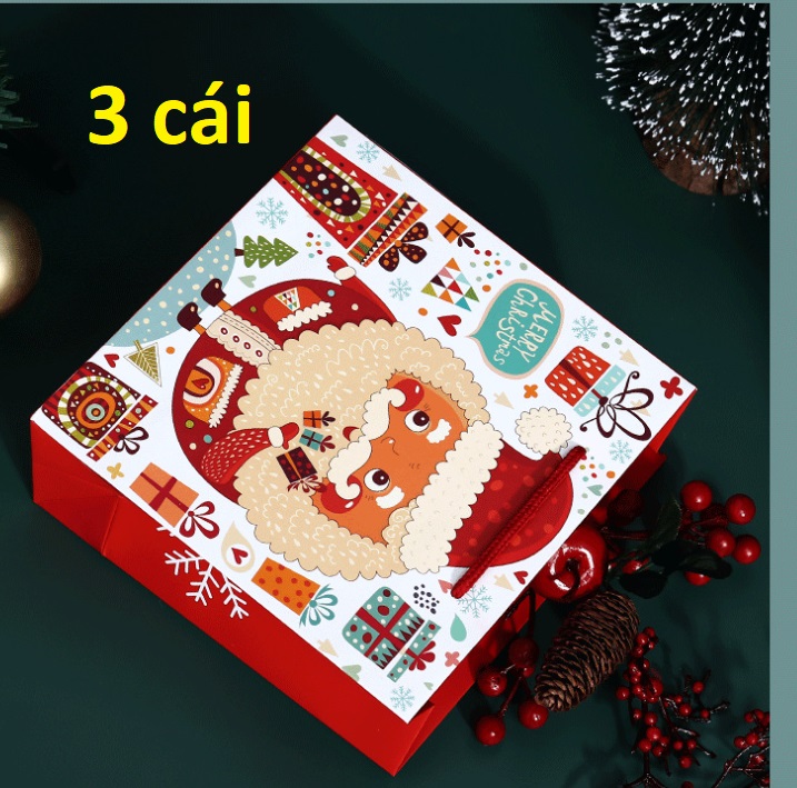 Túi quà tặng Giáng sinh, Noel túi giấy chất lượng