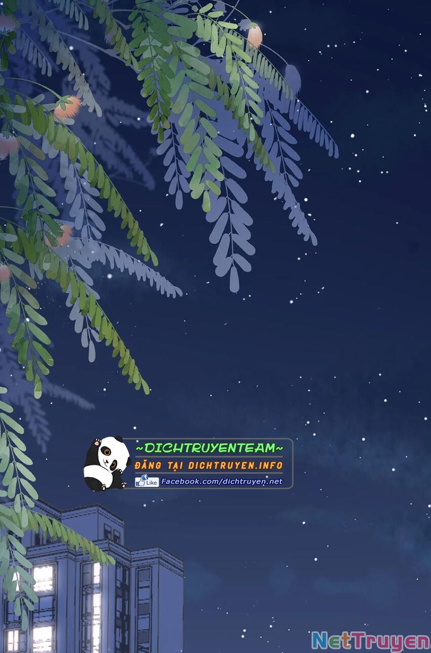 bạn gái tôi mới 30+ tuổi xuân chapter 113 18
