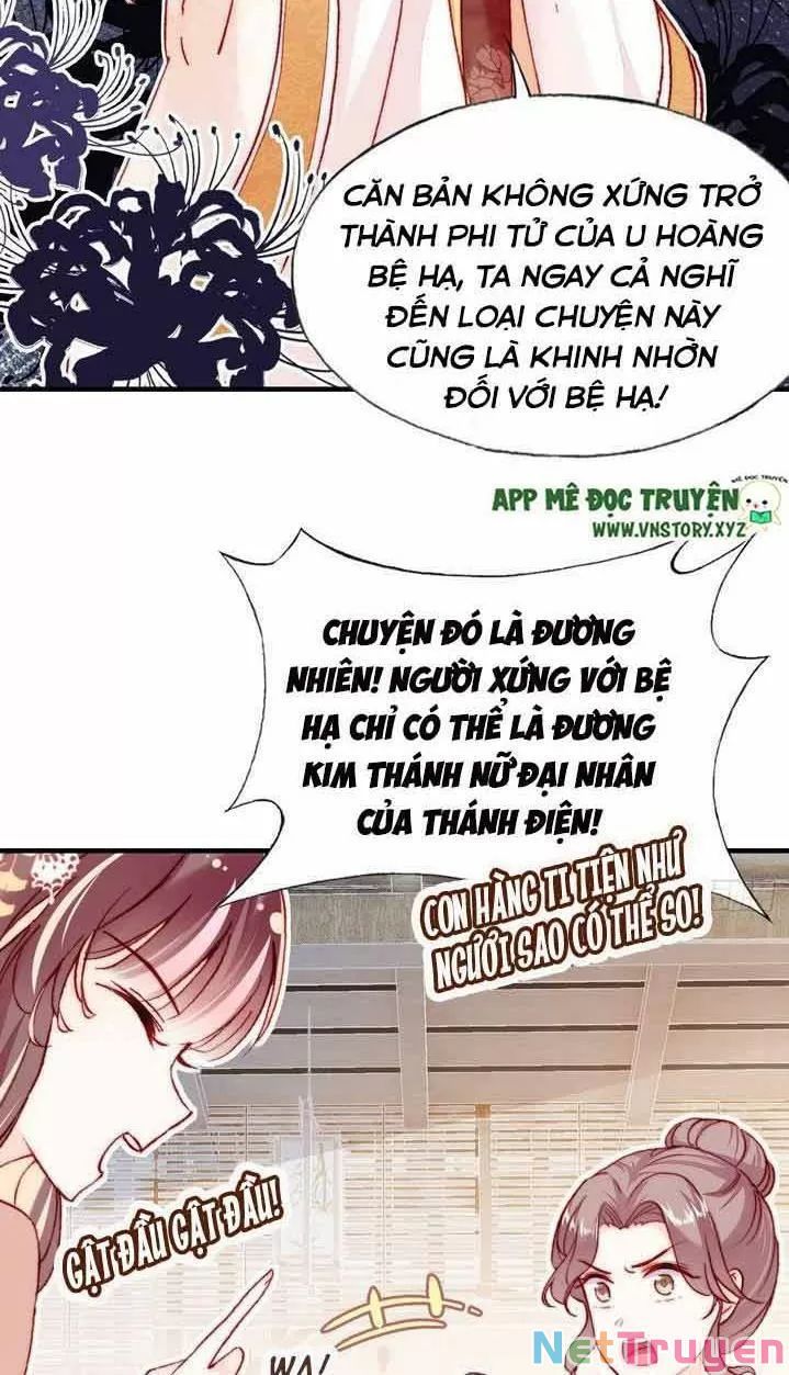 lại bị bệnh chiều chuộng quấn lấy chapter 7 16