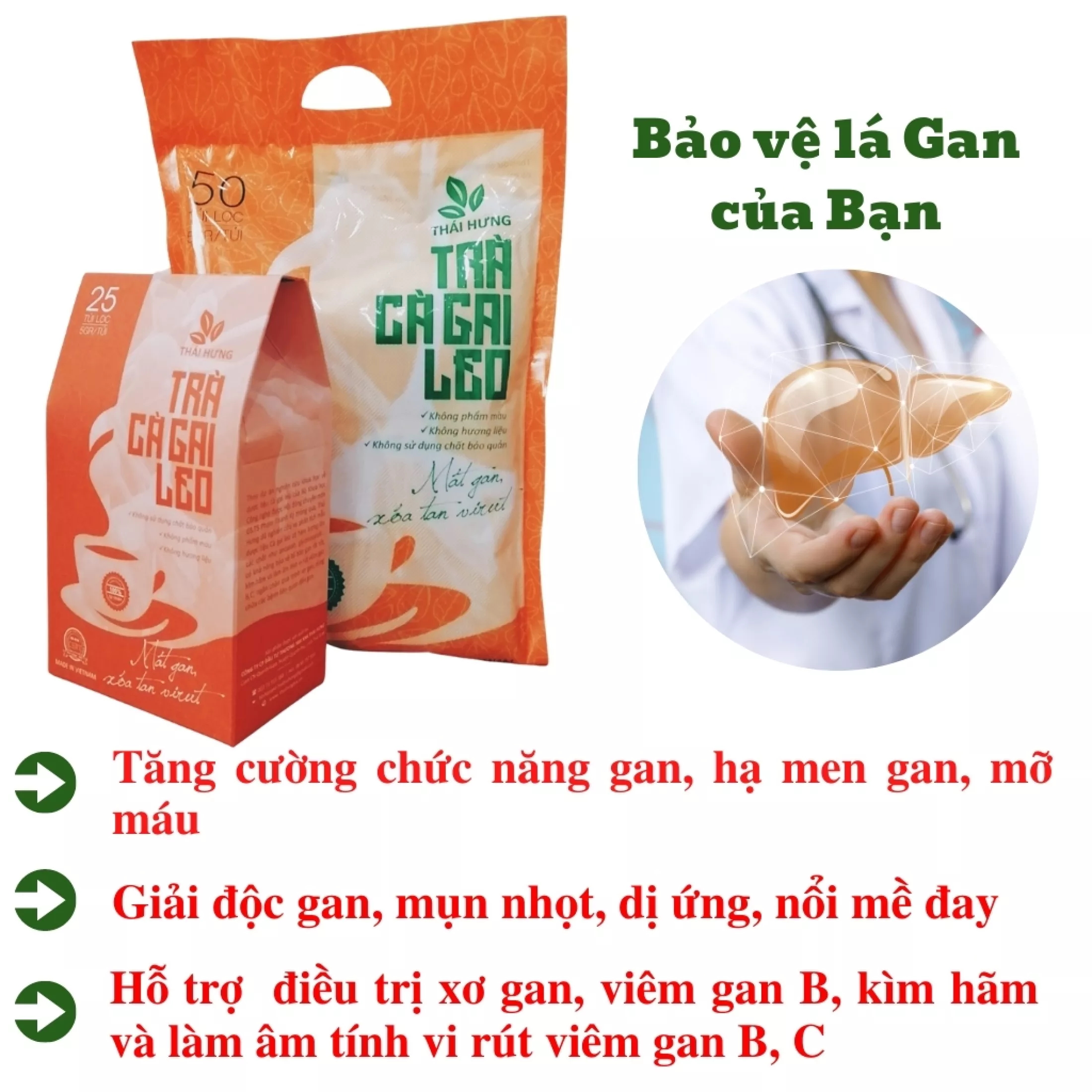 Trà Cà gai leo Thái Hưng  Thải độc gan, mát gan, giải rượu - Bịch 50 túi lọc 5g